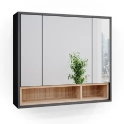 Badspiegelschrank Beatrice Anthrazit 80 x 72 cm Vicco