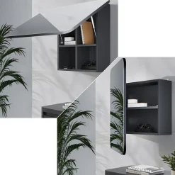 Badspiegelschrank Zino Anthrazit 65 x 50 cm mit Regalen Vicco