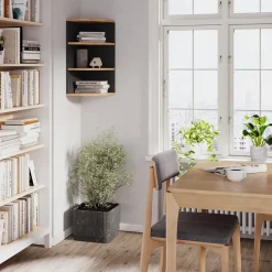 Eckregal Ecki Anthrazit/Goldkraft Eiche 30 x 60 cm Vicco