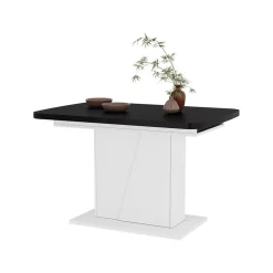 Esstisch Fenaro Schwarz/Weiß 120 x 80 cm ausziehbar Vicco