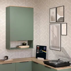 Hängeschrank Wido Grün 60 x 100 cm mit Tür Vicco