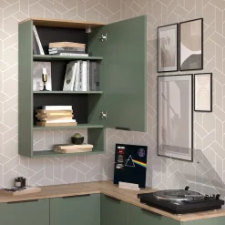 Hängeschrank Wido Grün 60 x 100 cm mit Tür Vicco