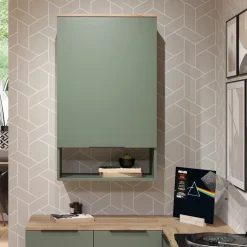 Hängeschrank Wido Grün 60 x 100 cm mit Tür Vicco