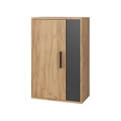Hängeschrank Berno Goldkraft Eiche/Anthrazit 50.1 x 78.4 cm mit 2 Fächern Vicco