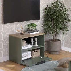 Kommode Wido Grün 60 x 50 cm mit klappe Vicco