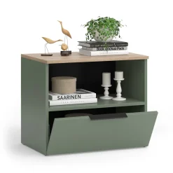 Kommode Wido Grün 60 x 50 cm mit klappe Vicco