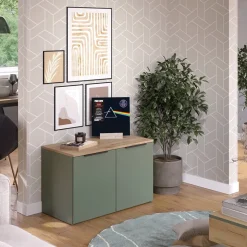 Kommode Wido Grün 80 x 50 cm mit 2 Türen Vicco