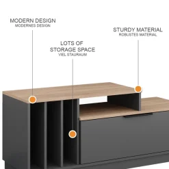 Lowboard Betti Anthrazit/Sonoma 120 x 49.9 cm mit 1 Tür Vicco