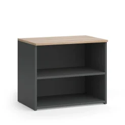 Lowboard Wido Anthrazit/Sonoma 60 x 50 cm mit 2 Fächern Vicco