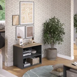 Lowboard Wido Anthrazit/Sonoma 60 x 50 cm mit 2 Fächern Vicco