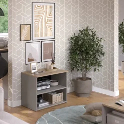 Lowboard Wido Greige 60 x 50 cm mit 2 Fächern Vicco