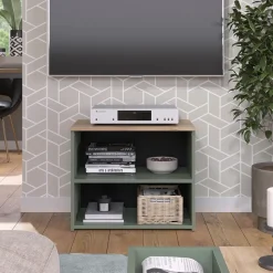 Lowboard Wido Grün 60 x 50 cm mit 2 Fächern Vicco