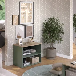 Lowboard Wido Grün 60 x 50 cm mit 2 Fächern Vicco