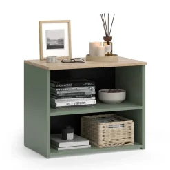 Lowboard Wido Grün 60 x 50 cm mit 2 Fächern Vicco