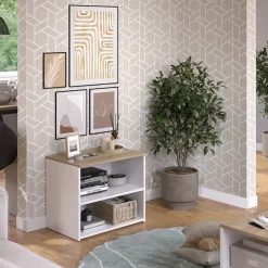 Lowboard Wido Weiß/Sonoma 60 x 50 cm mit 2 Fächern Vicco