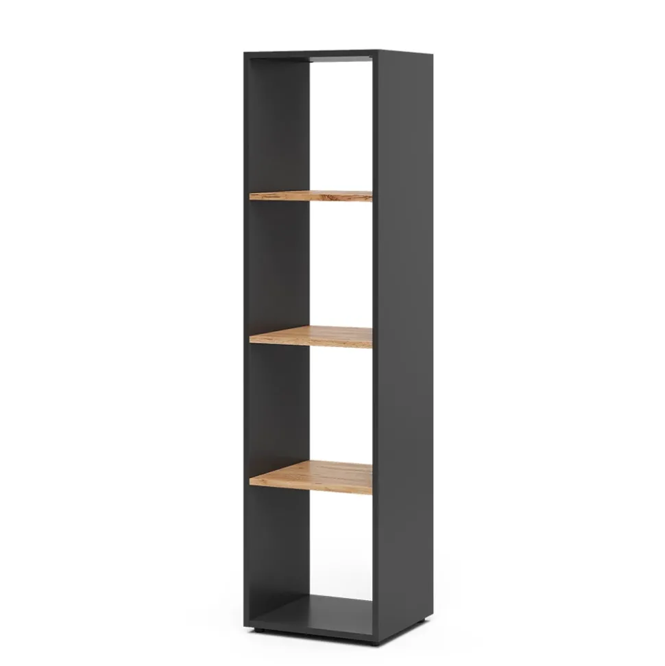 Raumteiler Ludus Anthrazit/Goldkraft Eiche 36.8 x 144.9 cm Vicco