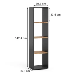 Raumteiler Ludus Anthrazit/Goldkraft Eiche 36.8 x 144.9 cm Vicco