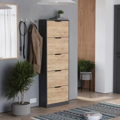 Schuhkipper Luca Anthrazit/Goldkraft Eiche 59 x 169 cm mit 5 Fächern Vicco