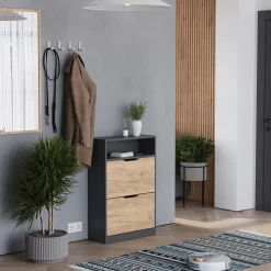 Schuhkipper Luca Anthrazit/Goldkraft Eiche 59 x 89.5 cm mit 2 Fächern Vicco