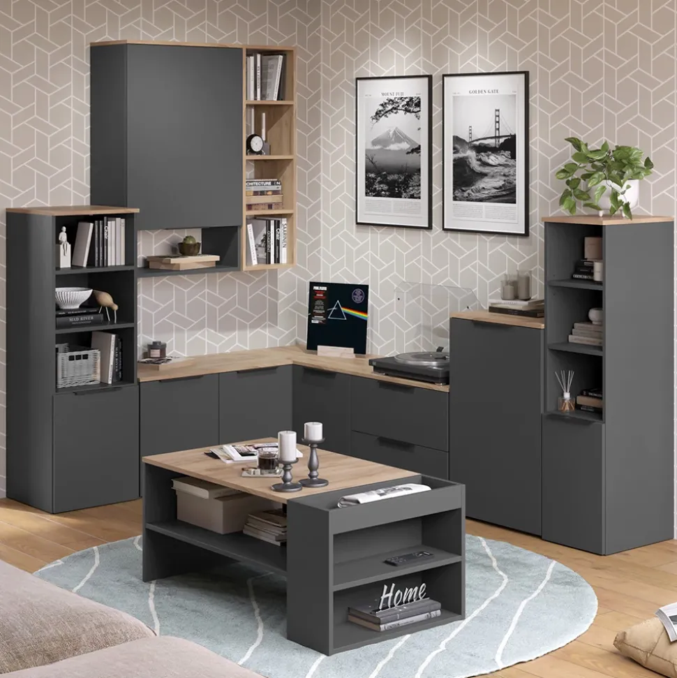 Universalschrank Wido Anthrazit/Sonoma 40.2 x 120 cm mit einer Tür Vicco