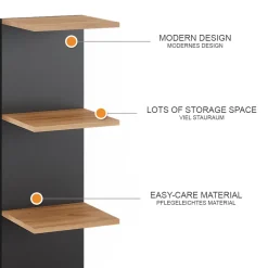 Wandregal Paolo Anthrazit 30 x 95 cm 2er Set Vicco
