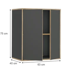 Wandschrank Tetrix Anthrazit 63 x 75 cm mit 2 Türen Vicco