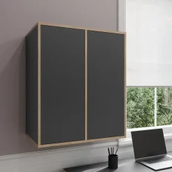 Wandschrank Tetrix Anthrazit 63 x 75 cm mit 2 Türen Vicco